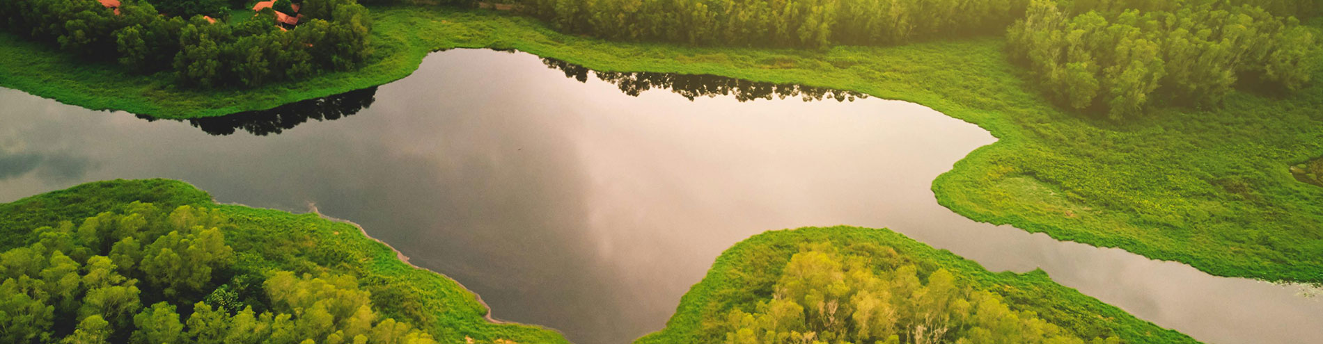 Louisiana Bayou